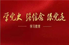 共青团“学党史、强信念、跟党走” 学习教育动员会召开