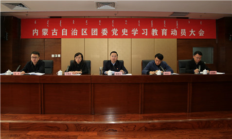 自治区团委召开党史学习教育动员大会