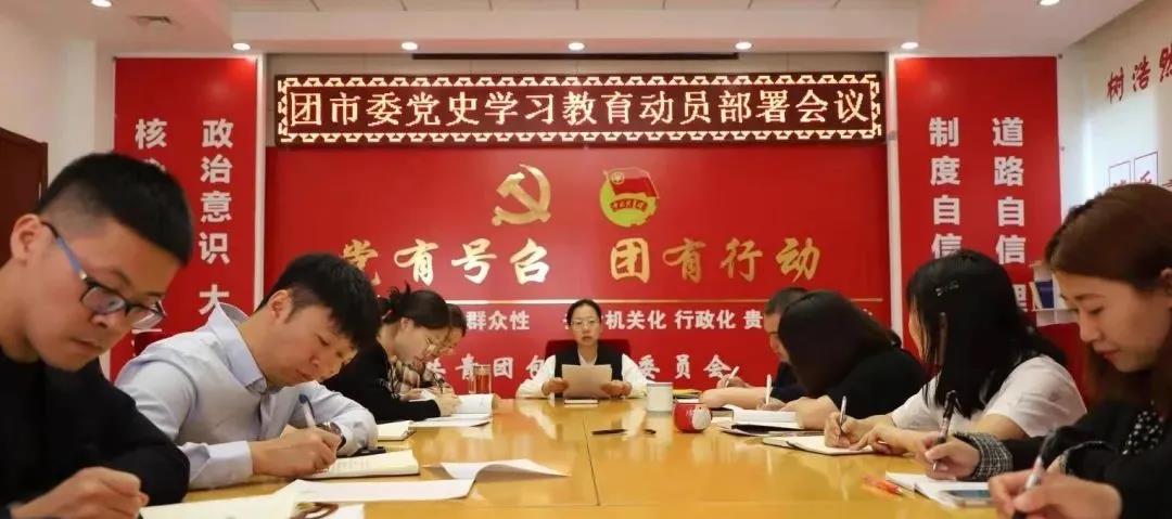 团市委召开党史学习教育动员部署会议