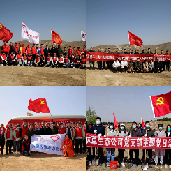 【区直头条】内蒙古自治区直属机关开展“喜迎二十大 永远跟党走 奋进新征程”义务植树活动