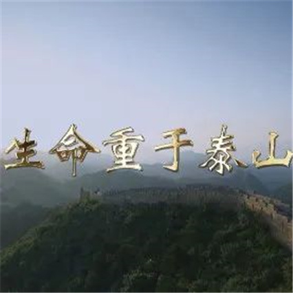 电视专题片 | 《生命重于泰山》