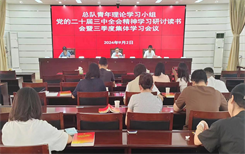 【区直团讯】国家统计局内蒙古调查总队召开学习贯彻党的二十届三中全会精神青年读书研讨会