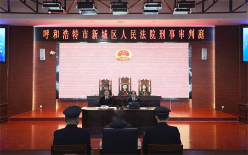 自治区团委组织团青干部开展庭审观摩活动