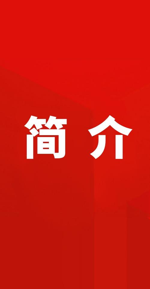 中国共青团简介