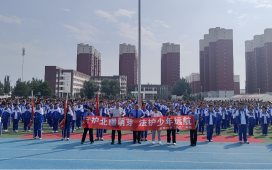 开鲁县各学校团组织开展法治宣传教育活动